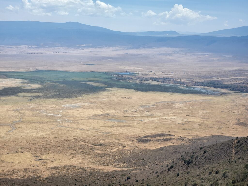 ngorongoro crater with trees and animals in the distance