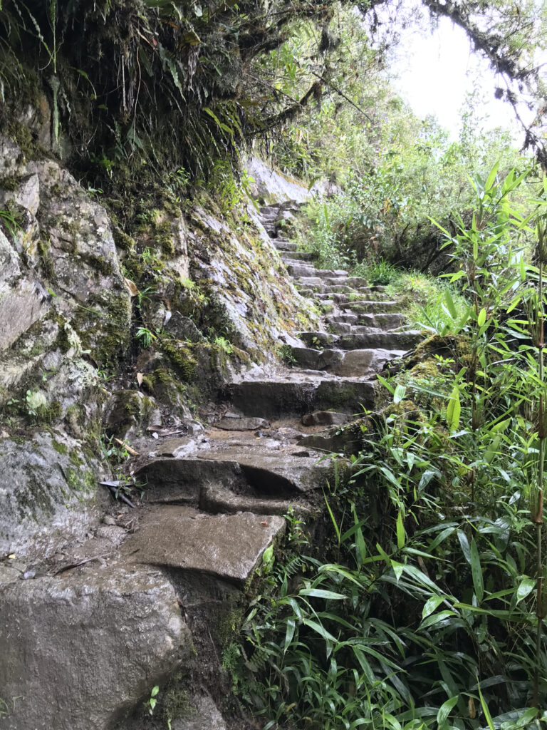Wet steps leading to Waynapicchu 